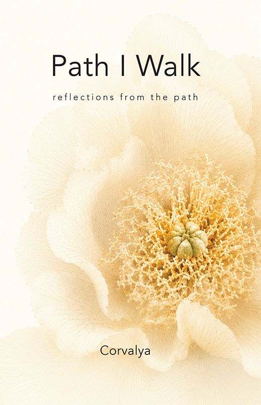 Path I Walk : reflections from the path - a book of poems and undercurrents exploring identity, loss, becoming, awakening, and the quiet wisdom discovered along the way.